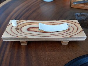 20221030_PXL113153849.MP_Pixel3a-JEB